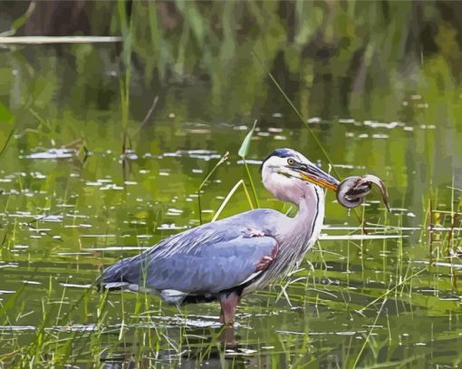 Great Blue Heron In A Swamp paint by number