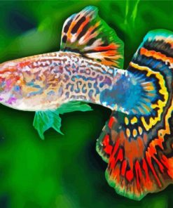 Guppy Fish Paint By Numbers