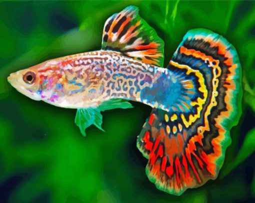 Guppy Fish Paint By Numbers