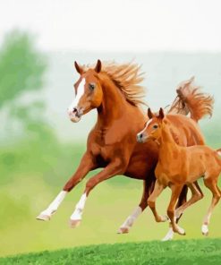 Horse And Colt Running Paint By Numbers