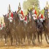 Household Cavalry British Army Paint By Numbers