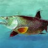 Lake Trout paint by number