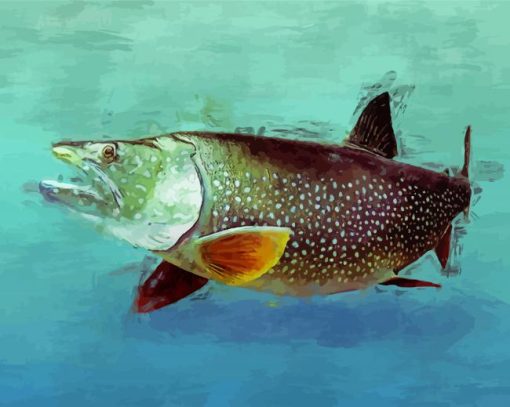 Lake Trout paint by number