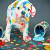 Messy Animals Pet Paint By Numbers