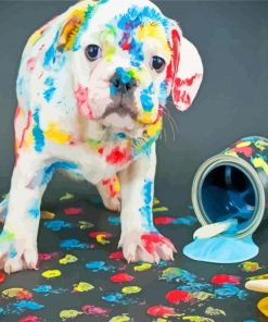 Messy Animals Pet Paint By Numbers