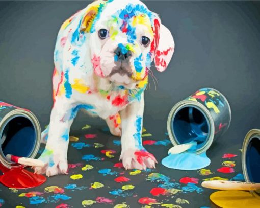 Messy Animals Pet Paint By Numbers