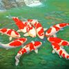 Metallic Koi Fishes paint by number