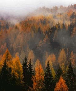 Misty Trees paint by number