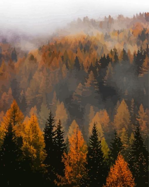 Misty Trees paint by number