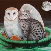 Moonlight Owl And The Pussycat Paint By Numbers