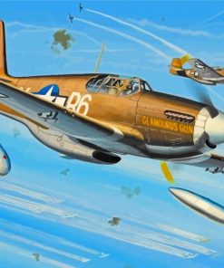 P51 Mustang Fighter Art Paint By Numbers