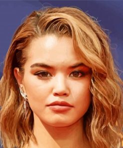 Paris Berelc paint by number