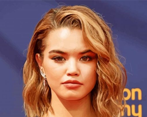 Paris Berelc paint by number