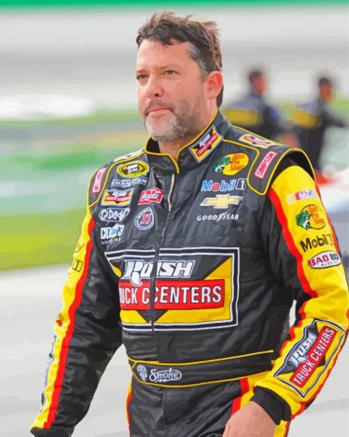 Racing Driver Tony Stewart paint by number