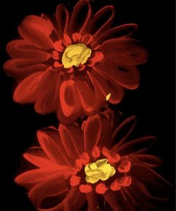 Red Gerbera Daisy Flowers Paint By Numbers