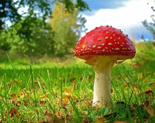 Fly Agaric paint by number