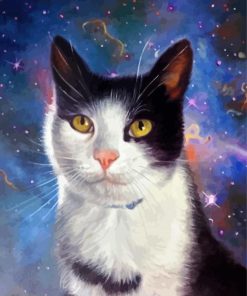 Space Cat Paint By Numbers