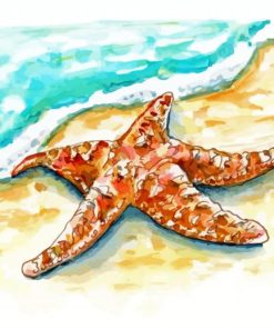 Starfish On Beach Art Paint By Numbers