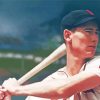 Ted Williams paint by number