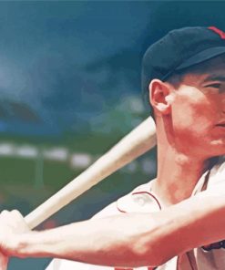 Ted Williams paint by number