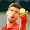 Tennis Player Novak Djokovic paint by number