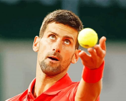 Tennis Player Novak Djokovic paint by number