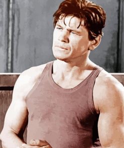 The Actor Charles Bronson paint by number