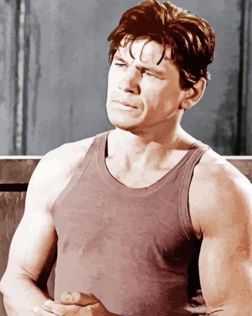 The Actor Charles Bronson paint by number