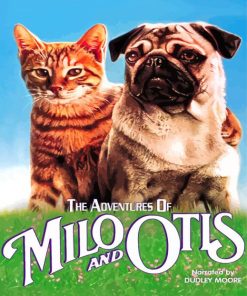 The Adventures Of Milo And Otis Poster Paint By Number