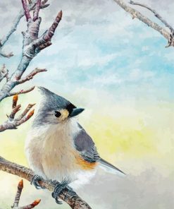 Titmouse Bird paint by number