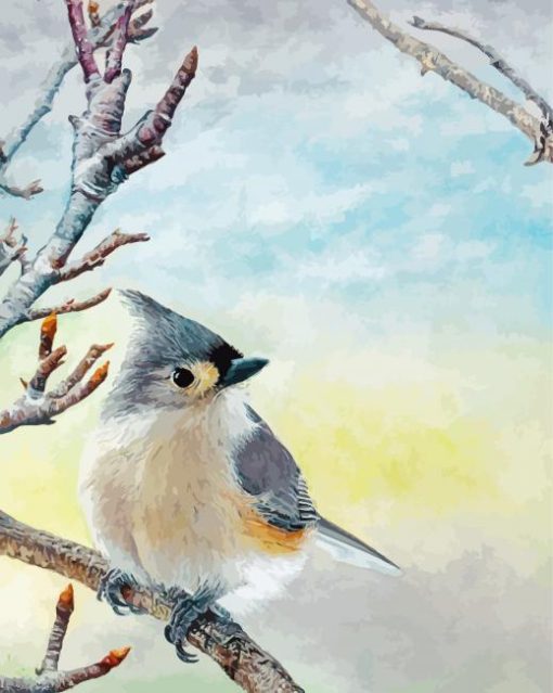 Titmouse Bird paint by number