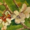 White Almond Tree paint by number