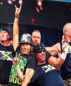 Wrestling Team D Generation X Paint By Numbers