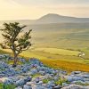 Yorkshire Dales National Park In gleborough Paint By Numbers