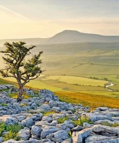 Yorkshire Dales National Park In gleborough Paint By Numbers