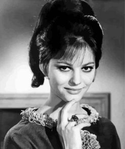 Young Claudia Cardinale paint by number