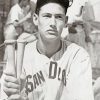 Young Ted Williams paint by number