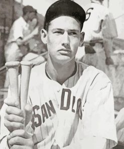 Young Ted Williams paint by number