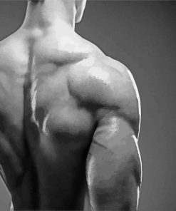 Aesthetic Back Muscles Paint By Numbers