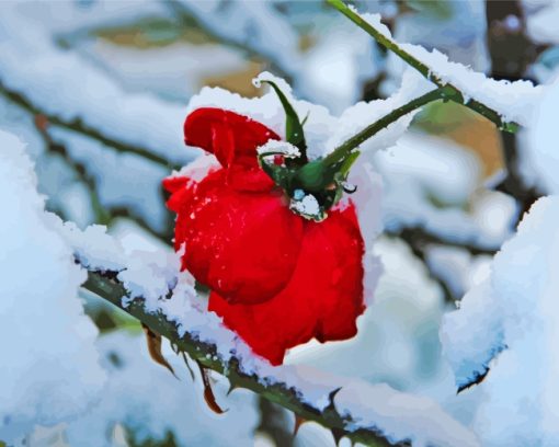 Aesthetic Red Flowers Snow paint by number