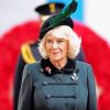 Aesthetic Camilla Parker Bowles paint by number