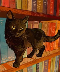 Black Cat Bookcase Art paint by number