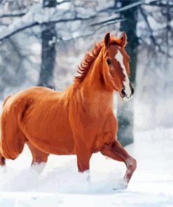 Brown Winter Horse paint by number