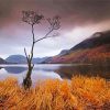 Buttermere Lake Landscape paint by number