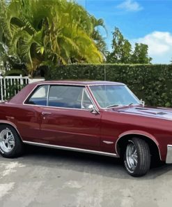 Classic 1964 GTO Paint By Numbers