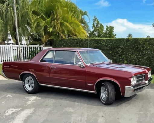 Classic 1964 GTO Paint By Numbers