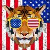 Cool Patriotic Tiger Paint By Number