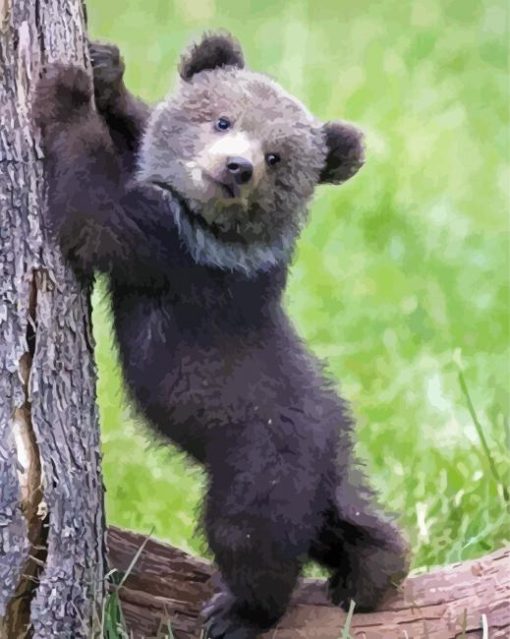 Dark Baby Bear paint by number
