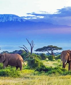 Elephants Mountains Of Africa Paint By Numbers