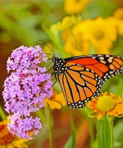 Monarch Butterfly Garden Paint By Numbers